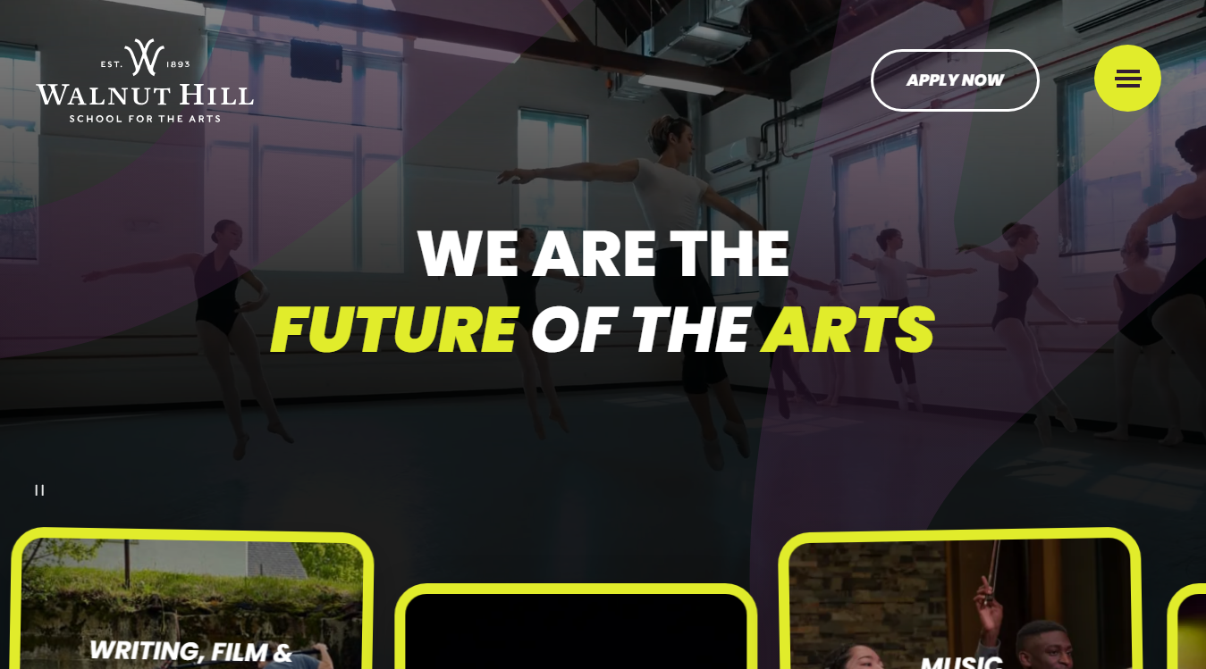 Website screenshot for Amelia Hall