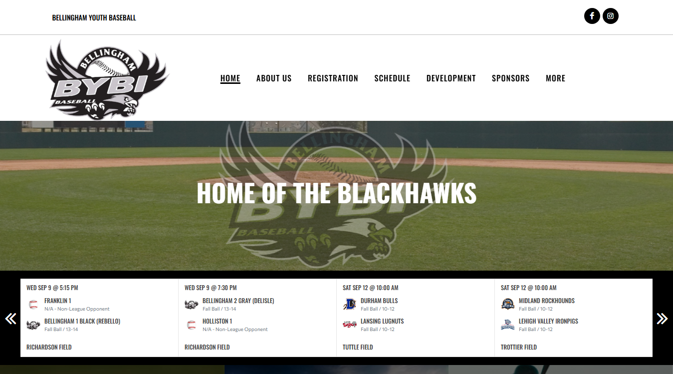 Website screenshot for Bellingham Youth Baseball