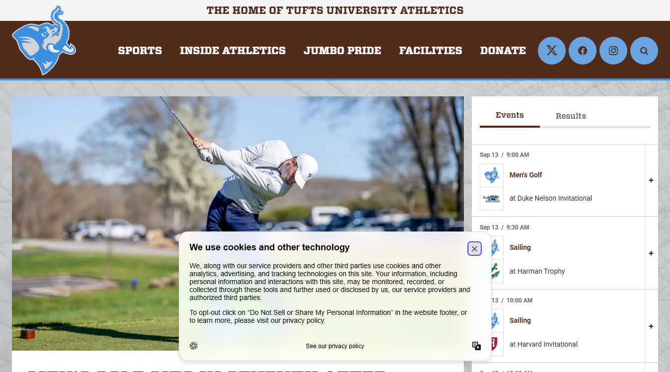 Website screenshot for Ellis Oval