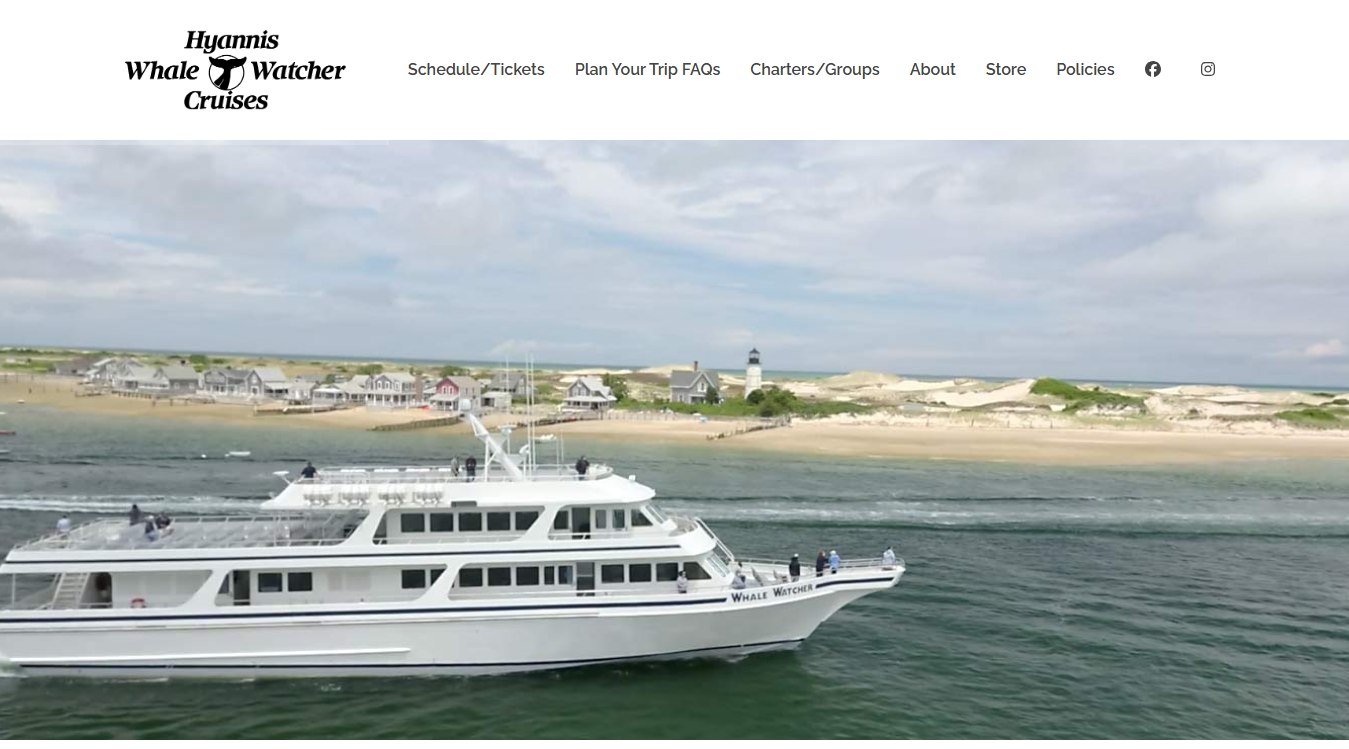 Website screenshot for Hyannis Whale Watcher Cruises