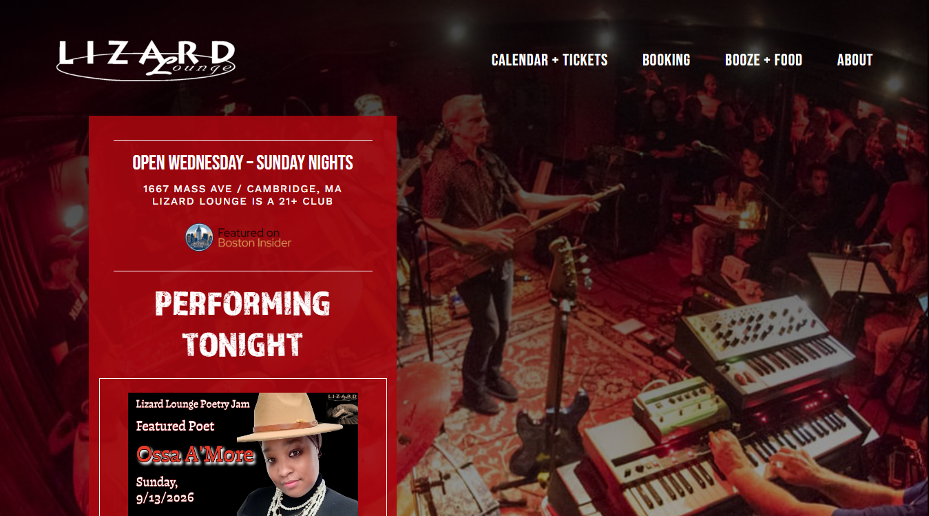 Website screenshot for Lizard Lounge