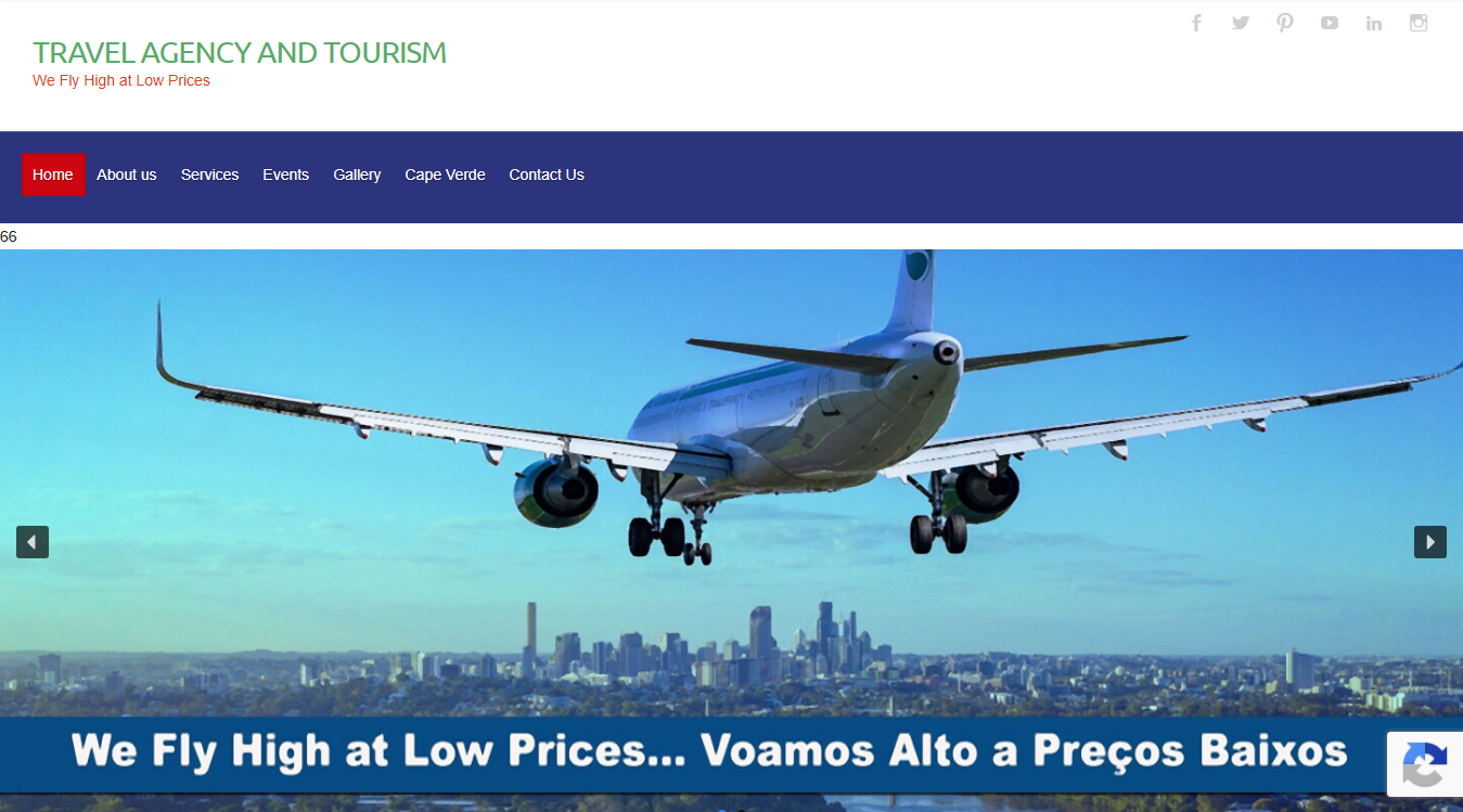 Website screenshot for Neves Travel