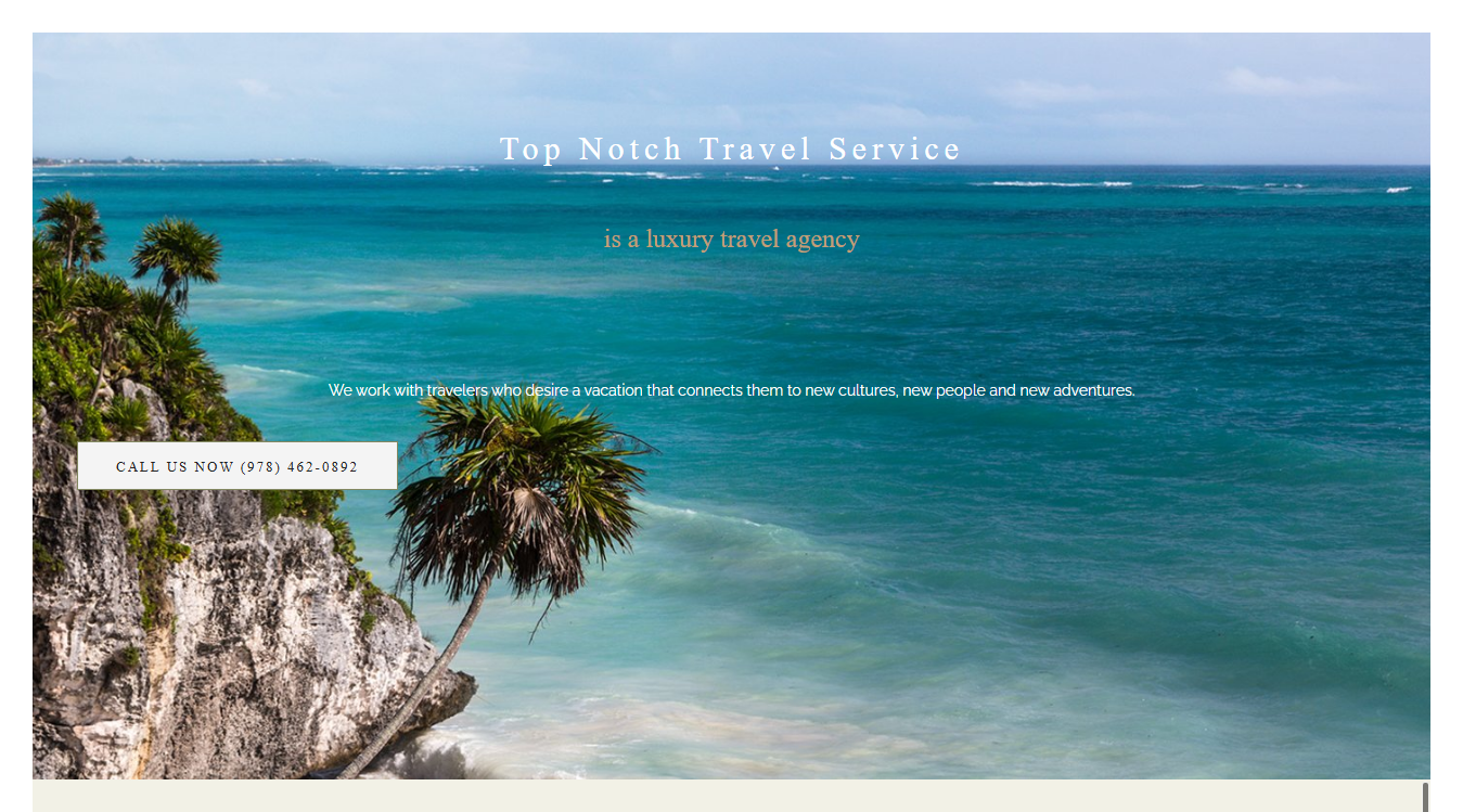 Website screenshot for Top Notch Travel Service