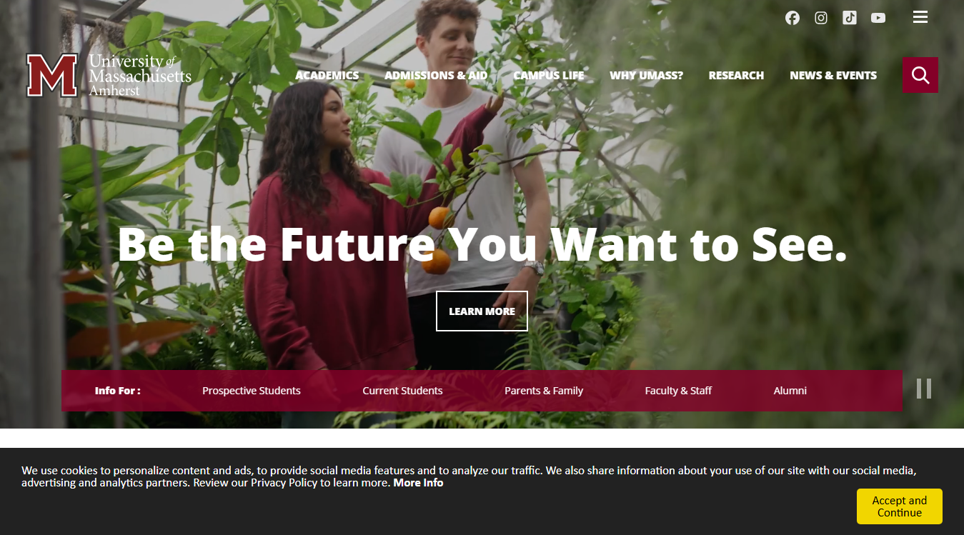 Website screenshot for University of Massachusetts Amherst
